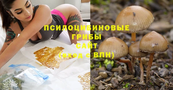 таблы Алексин